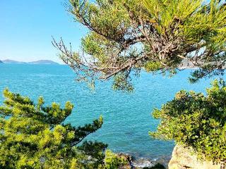 妙見神社の参拝記録(風祭すぅさん)