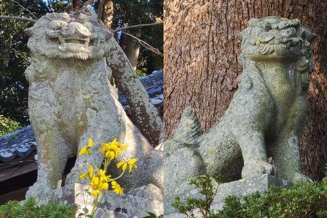 福岡県糸島市志摩馬場344 六所神社の写真5