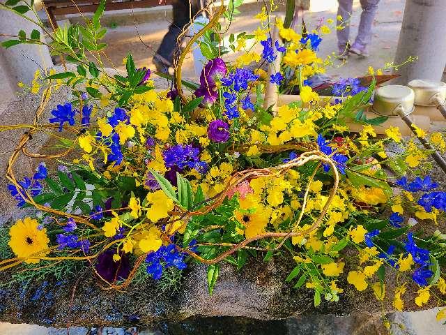 福岡県糸島市志摩馬場344 六所神社の写真6