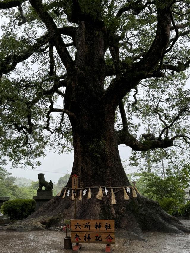 六所神社の参拝記録5