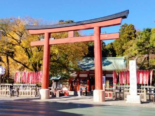 大歳御祖神社(静岡浅間神社)の参拝記録(miyumikoさん)