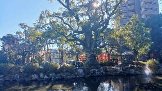 大歳御祖神社(静岡浅間神社)の参拝記録(SFUKUさん)
