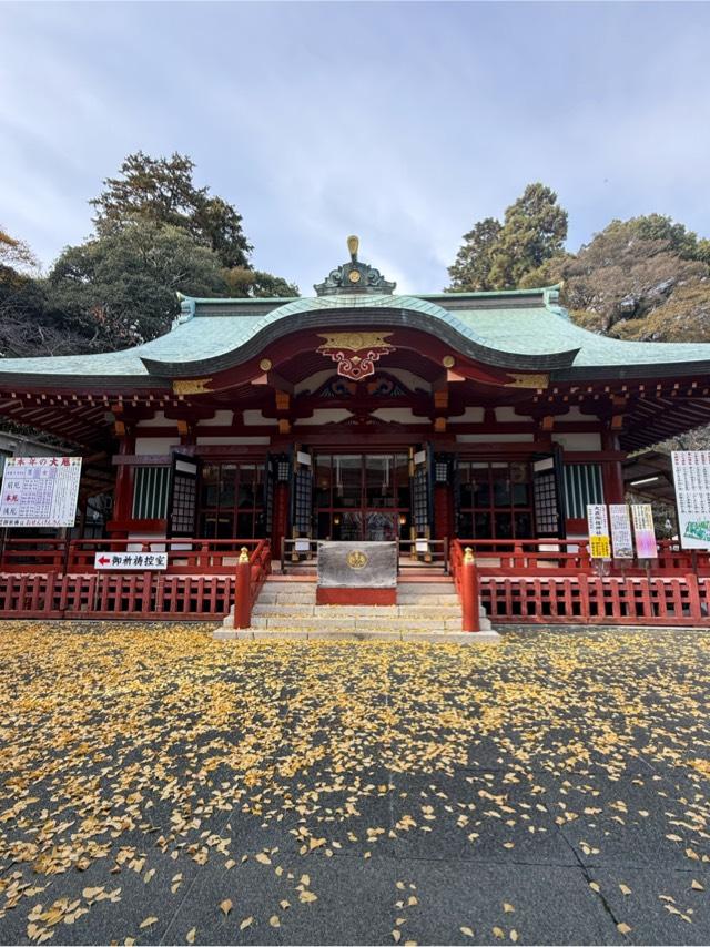 大歳御祖神社(静岡浅間神社)の参拝記録9