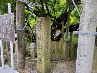 山田日吉神社の参拝記録(julia43226さん)