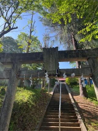 愛宕神社の参拝記録(⛩️🐉🐢まめ🐢🐉⛩️さん)