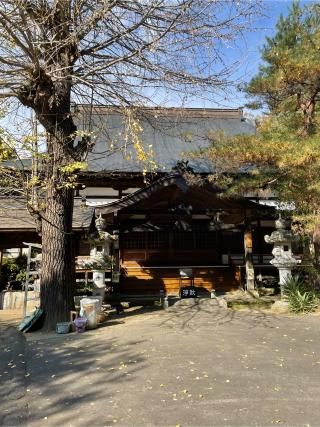 長生寺の参拝記録(チップさん)