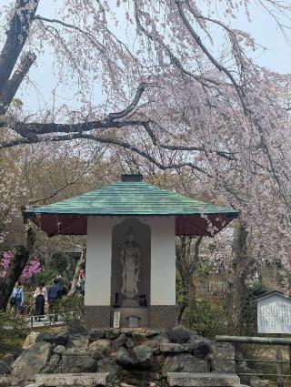 天龍寺 法堂(選仏場)の参拝記録(くまたろうさん)