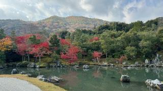 天龍寺 法堂(選仏場)の参拝記録(すえきちさん)