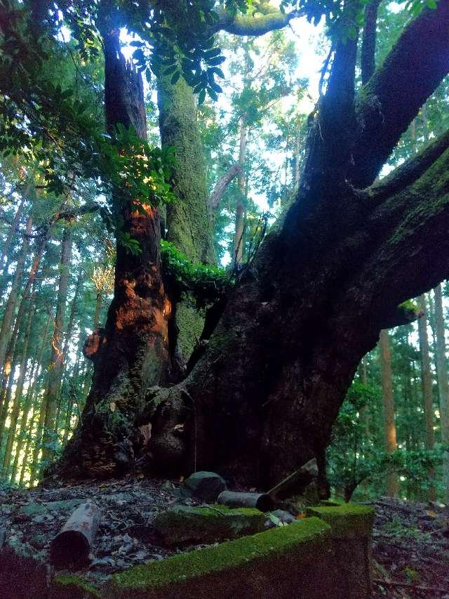 奈良県吉野郡東吉野村大字萩原89 八王子神社 (東吉野村萩原)の写真2