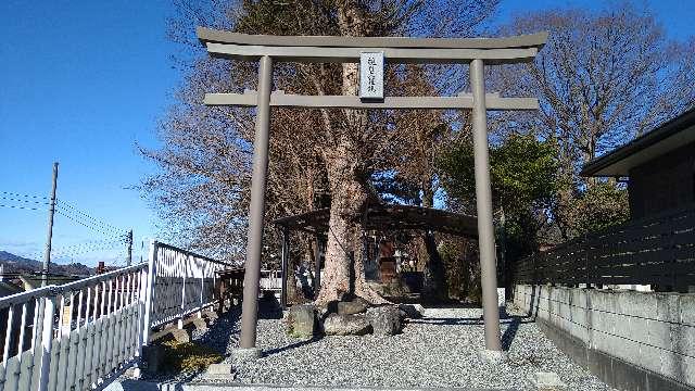 埼玉県秩父市滝の上町5 視目神社の写真2