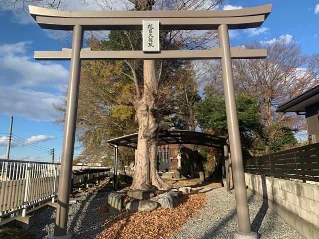 埼玉県秩父市滝の上町5 視目神社の写真1
