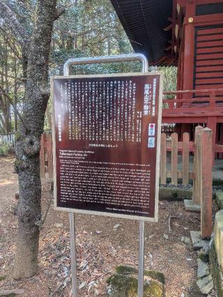 高尾山薬王院 奥之院 不動堂の参拝記録(はくすみさん)