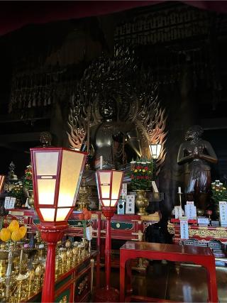 高幡山金剛寺 大日堂(高幡不動尊)の参拝記録(ゆういっちさん)