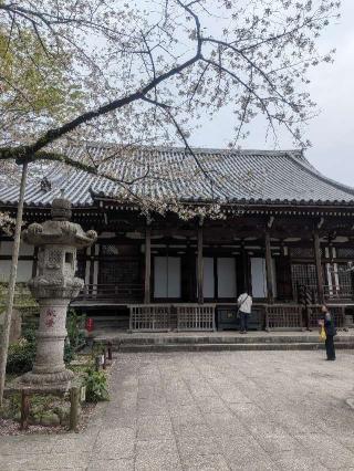 高幡山金剛寺 大日堂(高幡不動尊)の参拝記録(はくすみさん)
