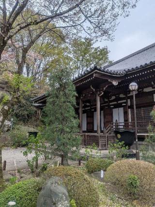 高幡山金剛寺 大日堂(高幡不動尊)の参拝記録(はくすみさん)