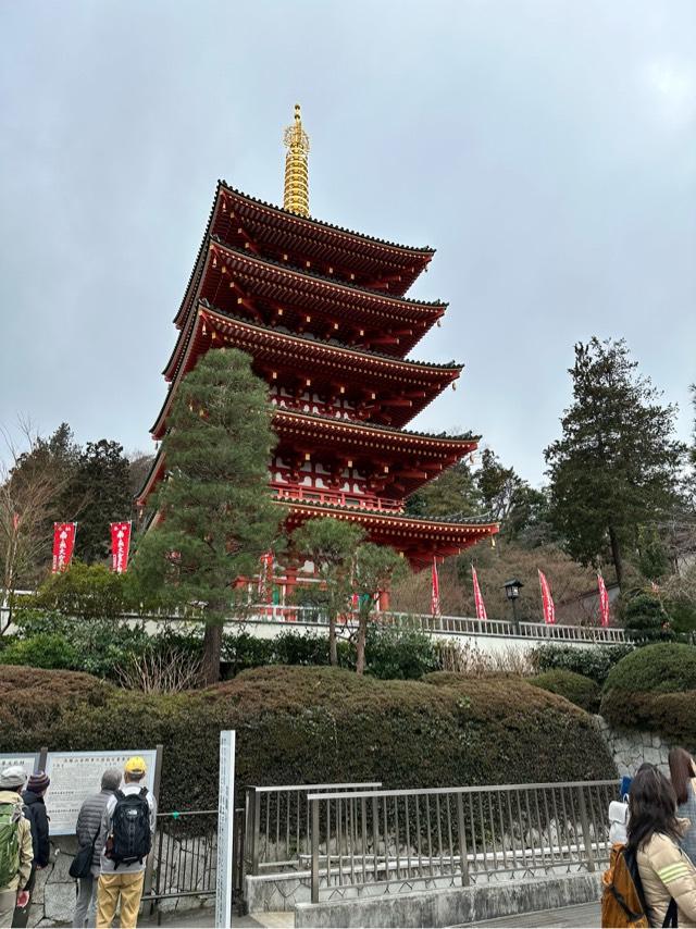 高幡山金剛寺 五重塔(高幡不動尊)の参拝記録7