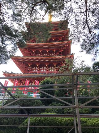 高幡山金剛寺 五重塔(高幡不動尊)の参拝記録(こーちんさん)