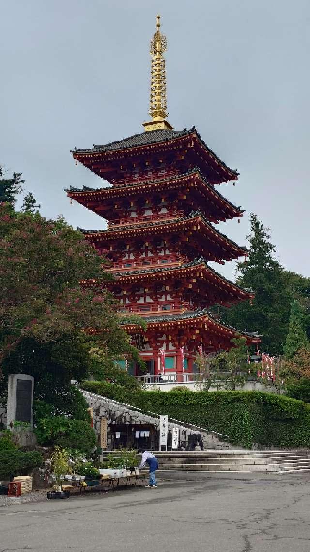 高幡山金剛寺 五重塔(高幡不動尊)の参拝記録4