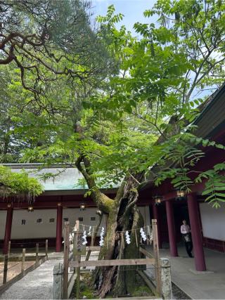 聖徳殿 大黒天 事比羅社 合殿（笠間稲荷神社）の参拝記録(ゆうさん)