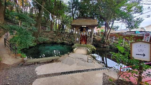 厳島神社(泉神社境内社)の参拝記録6