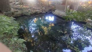 厳島神社(泉神社境内社)の参拝記録(ステイさん)