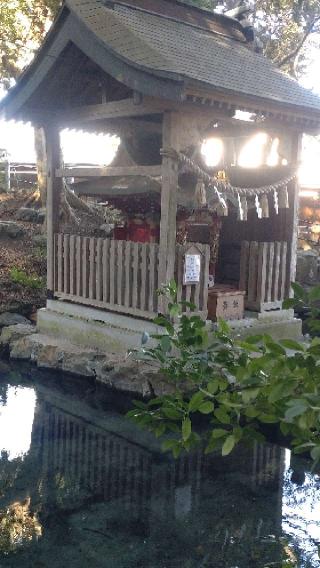 厳島神社(泉神社境内社)の参拝記録(ステイさん)