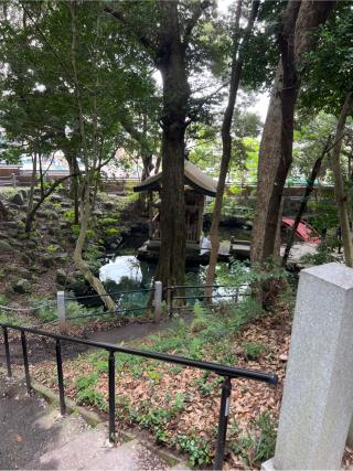 厳島神社(泉神社境内社)の参拝記録(⛩️🎠🐢まめ🐢🎠⛩️さん)