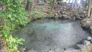 厳島神社(泉神社境内社)の参拝記録(まっちゃんさん)
