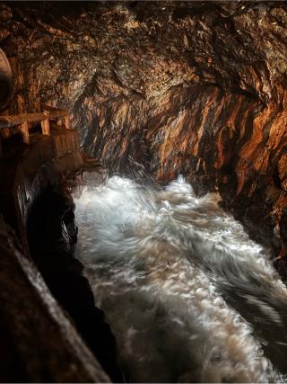 牟婁大辯才天の参拝記録(アップルベアさん)