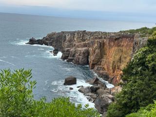 牟婁大辯才天の参拝記録(アップルベアさん)