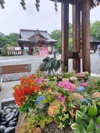 白鷺天神(白鷺神社境内社)の参拝記録(さとみさん)