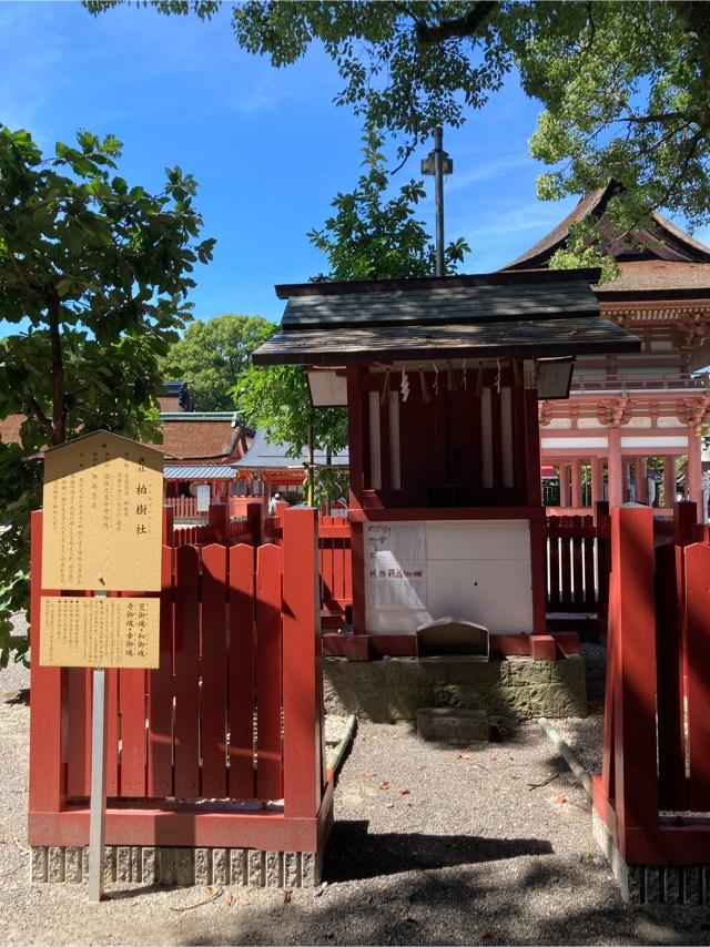 柏樹社(津島神社 摂社 須佐之男命奇御魂)の参拝記録(恭子さん)