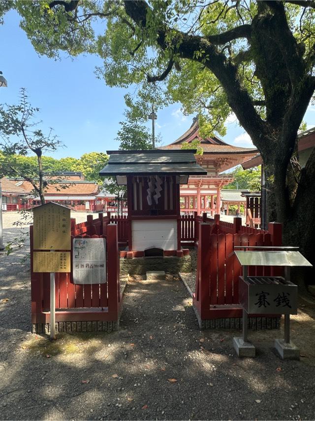 柏樹社(津島神社 摂社 須佐之男命奇御魂)の参拝記録(skさん)