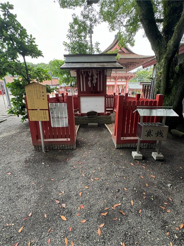 柏樹社(津島神社 摂社 須佐之男命奇御魂)の参拝記録(こーちんさん)