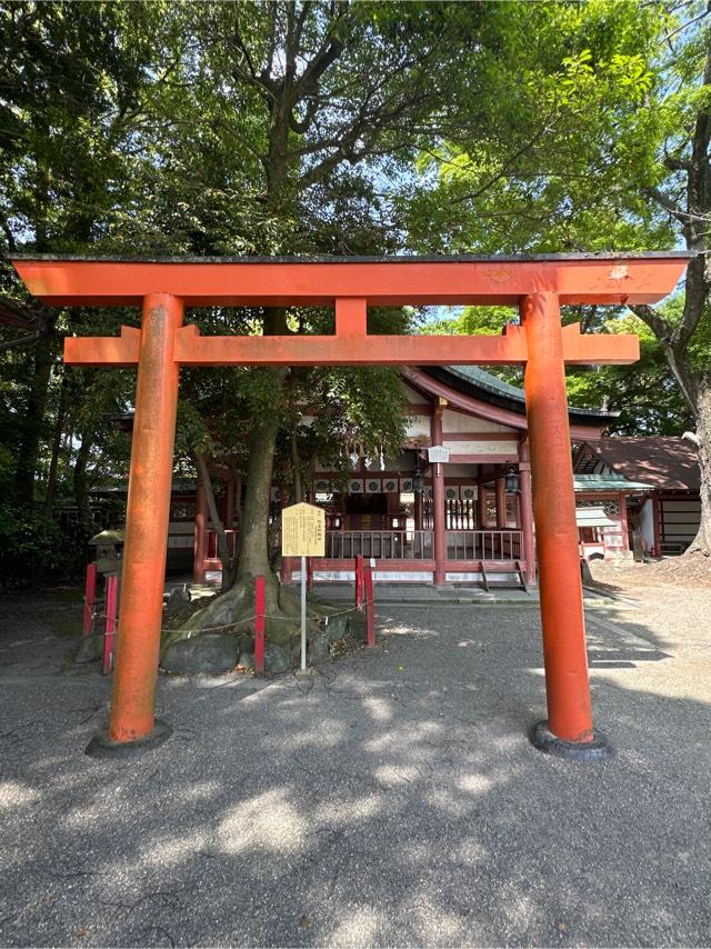 弥五郎殿社(津島神社 摂社)の参拝記録(skさん)