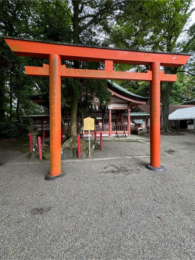 弥五郎殿社(津島神社 摂社)の参拝記録6