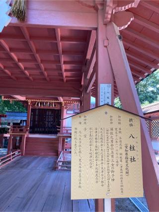 八柱社(津島神社 摂社)の参拝記録(恭子さん)