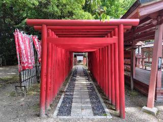 稲荷社(津島神社 末社)の参拝記録(ロビンさん)