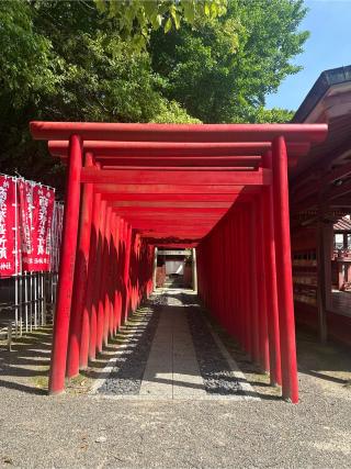 稲荷社(津島神社 末社)の参拝記録(skさん)