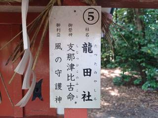 龍田社(津島神社 末社)の参拝記録(銀玉鉄砲さん)
