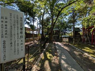 菅原社(津島神社 末社)の参拝記録(恭子さん)