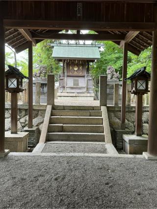 照魂社(津島神社 末社)の参拝記録(こーちんさん)