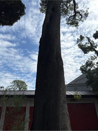 稲荷神社（熊野神社境内社）の参拝記録(⛩️🎠🐢まめ🐢🎠⛩️さん)