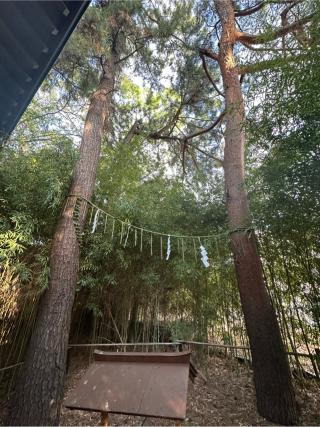 稲荷神社（熊野神社境内社）の参拝記録(gragrayasさん)