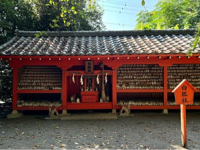 白狐社(冠稲荷神社境内社)の参拝記録4