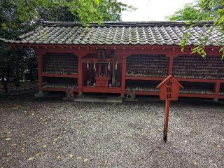 白狐社(冠稲荷神社境内社)の参拝記録(愛しい風さん)