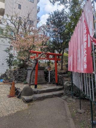 杉多稲荷神社(江島杉山神社境内社)の参拝記録(はくすみさん)
