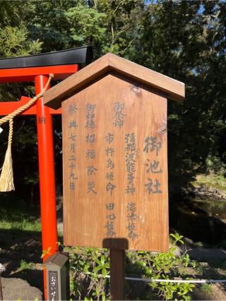 御池社(鷲宮神社境内社)の参拝記録(⛩️🐍🐢まめ🐢🐍⛩️さん)