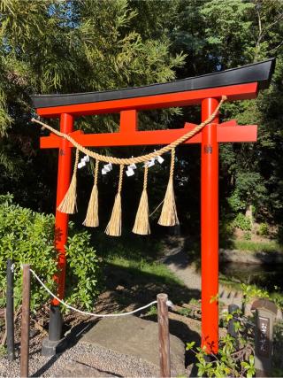御池社(鷲宮神社境内社)の参拝記録(⛩️🐍🐢まめ🐢🐍⛩️さん)