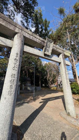浮津島神社の参拝記録(こまいぬおさん)